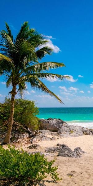 Playa del Carmen